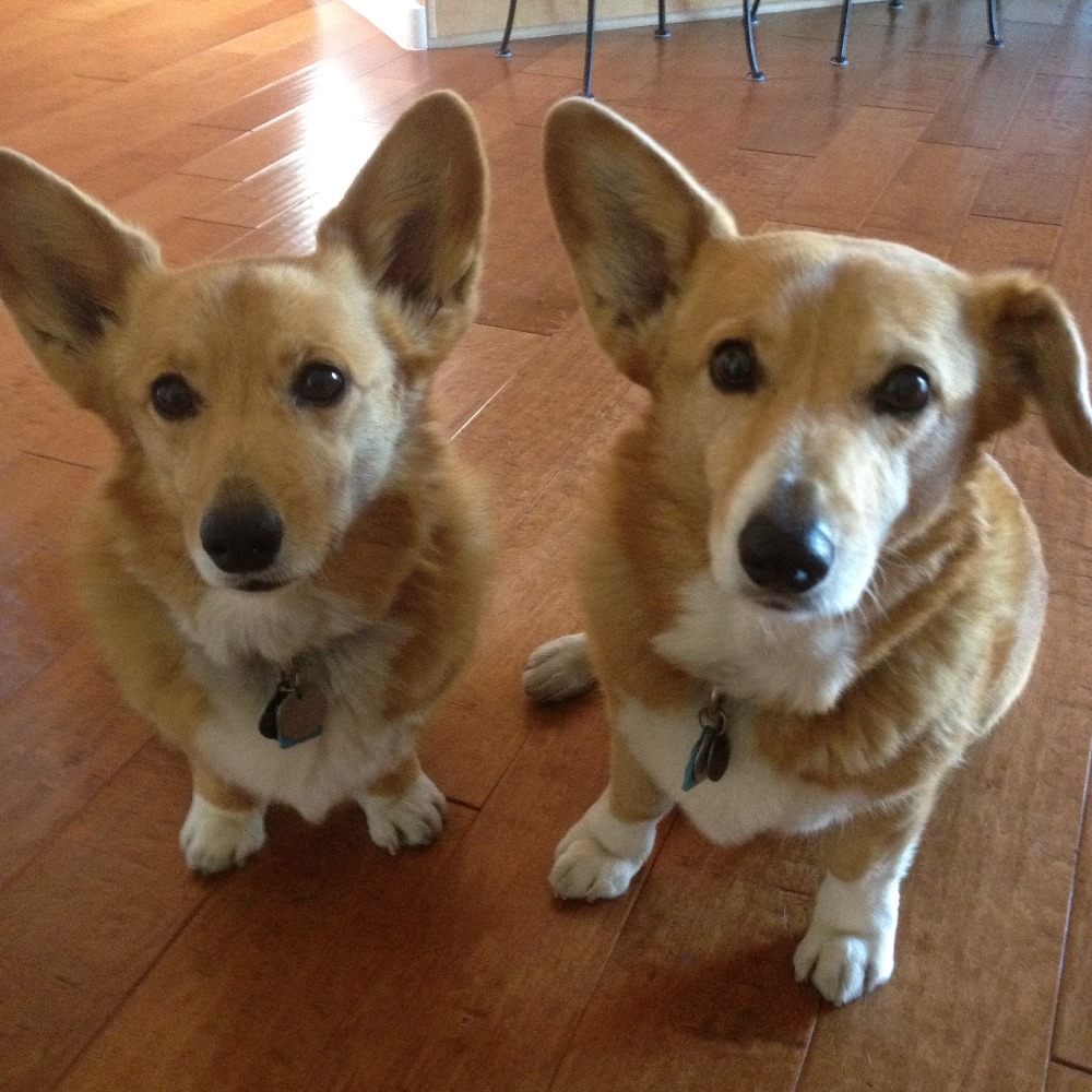 Meet your Posher, Anamarie